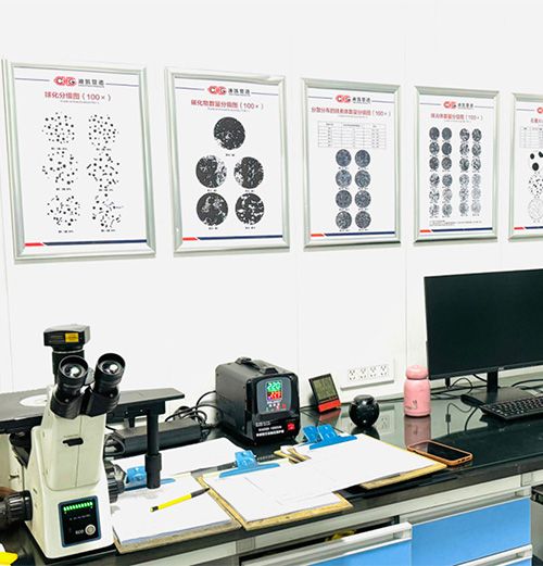 Metallography detection